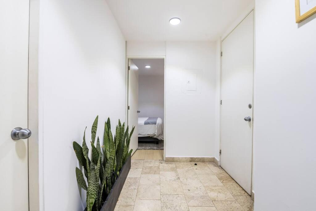 Апартаменти Loft Donceles 6 Cdmx! Мехіко Екстер'єр фото